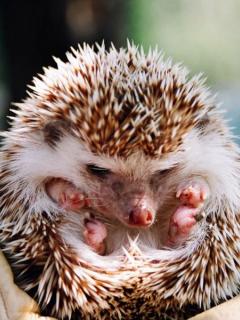 Other Wallpapers 0718